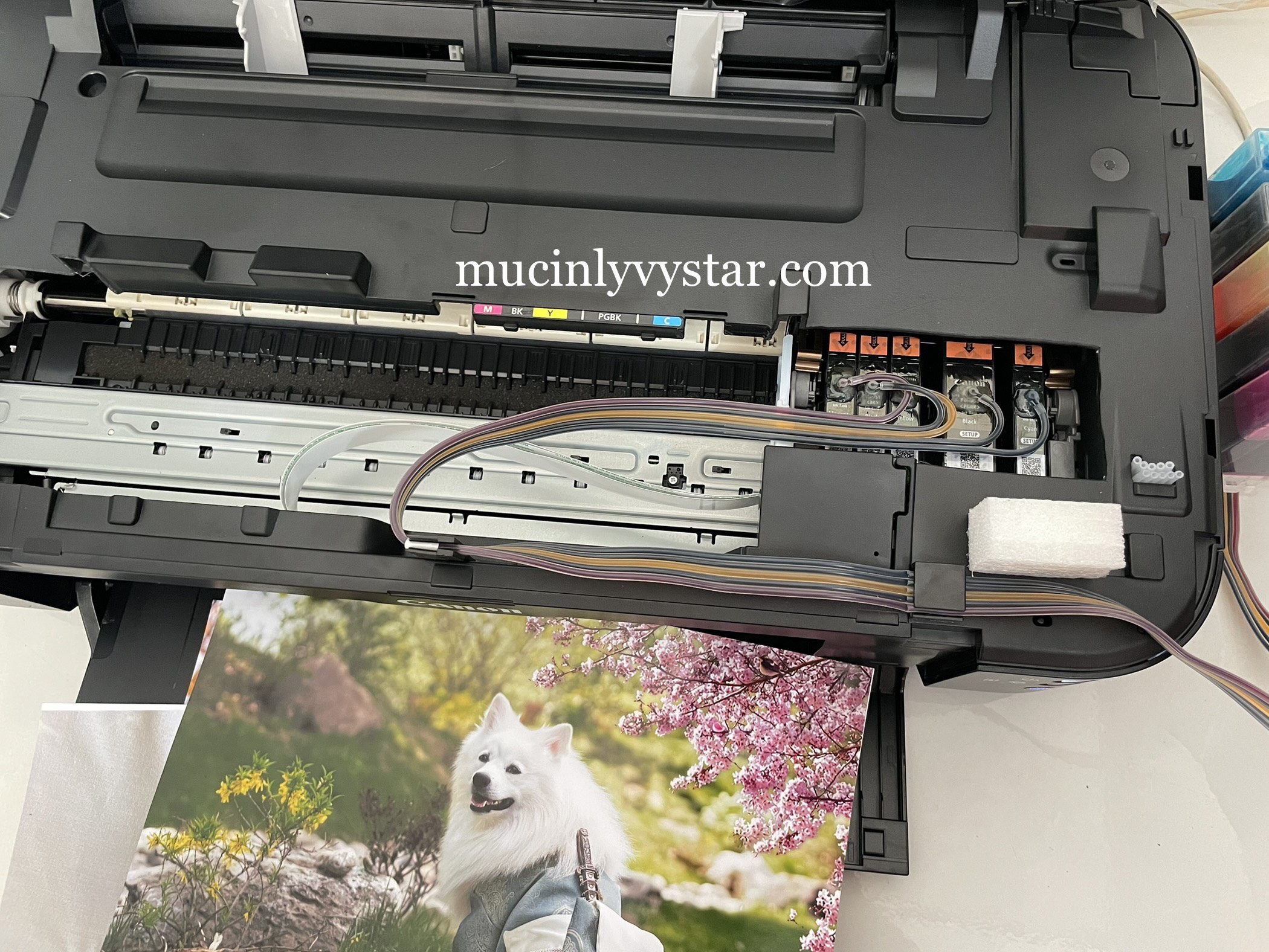 lắp mực liên tục máy in canon