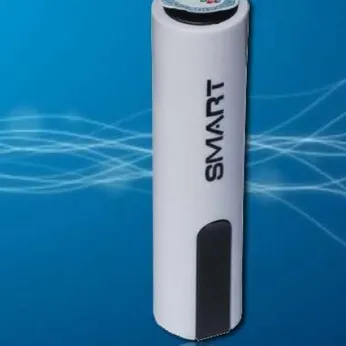 SMART  2600 mAh Chính Hãng FPT