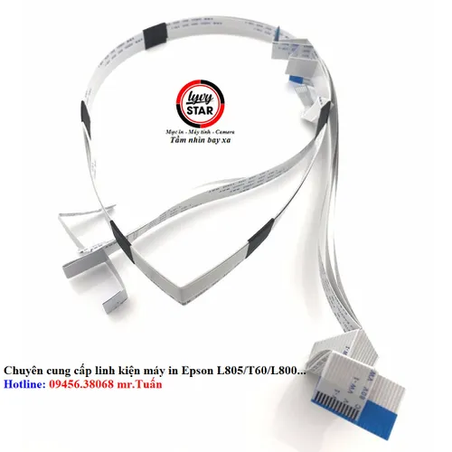 Bộ caple Epson L805,T60,T50,L800 bao nhiêu tiền một bộ nguyên zin chính hãng.