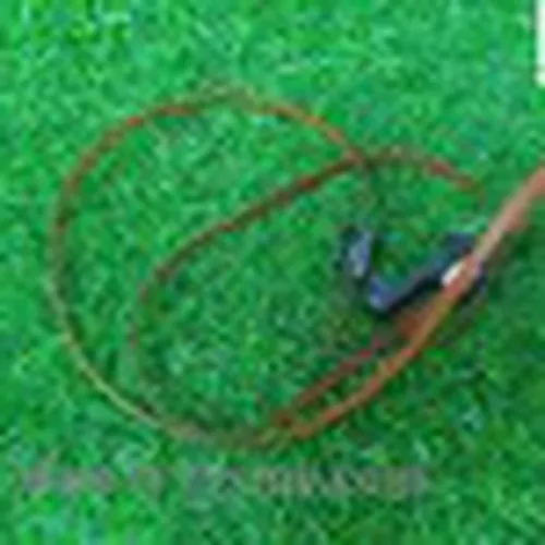 Thay dây curoa EpsonC5290/C5210 bị đứt tại Quy Nhơn Bình Định