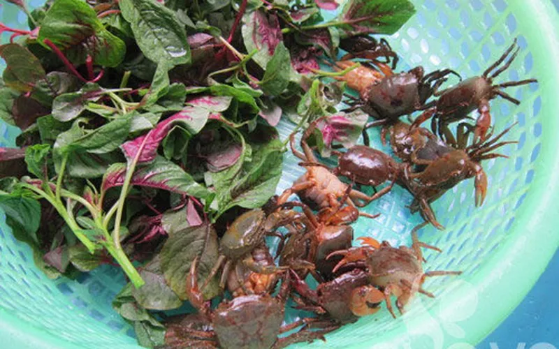 Mẹo nấu món canh cua rau dền ngon bổ dưỡng mà các bạn chưa biết đến lần nào.