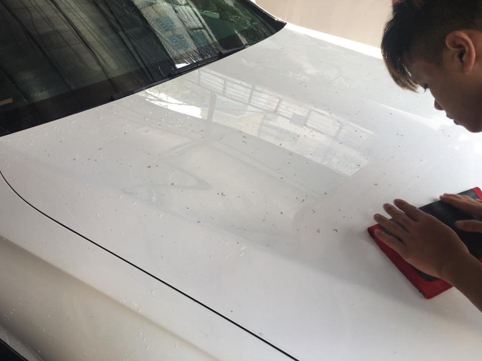 Mẹo tẩy sạch vết nhựa cây trên xe ô tô