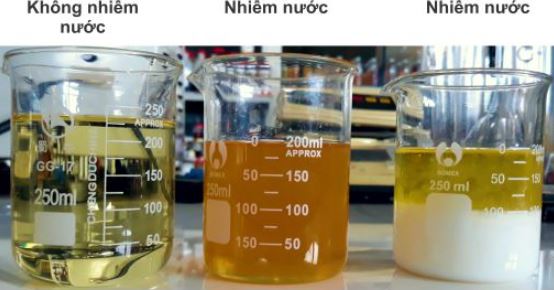 dầu bị nhiễm nước