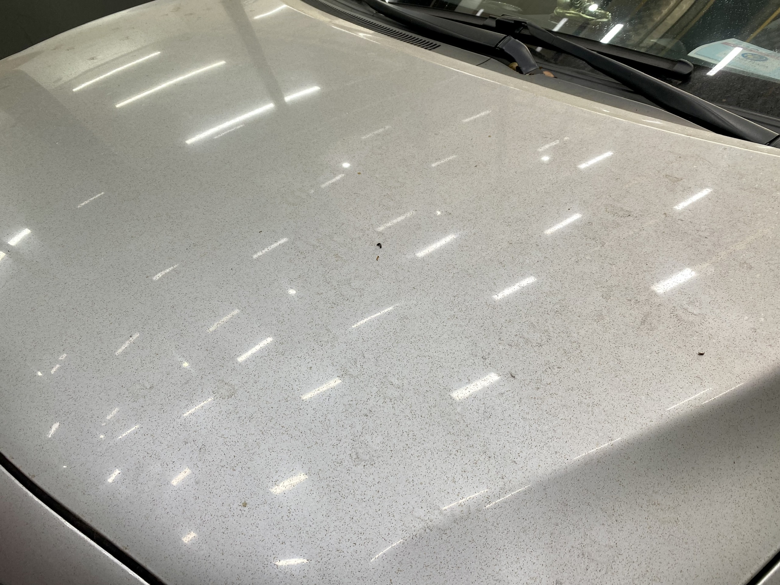 Mẹo tẩy sạch vết nhựa cây trên xe ô tô