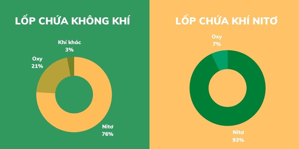 bơm khí ni tơ lốp xe có nên không?