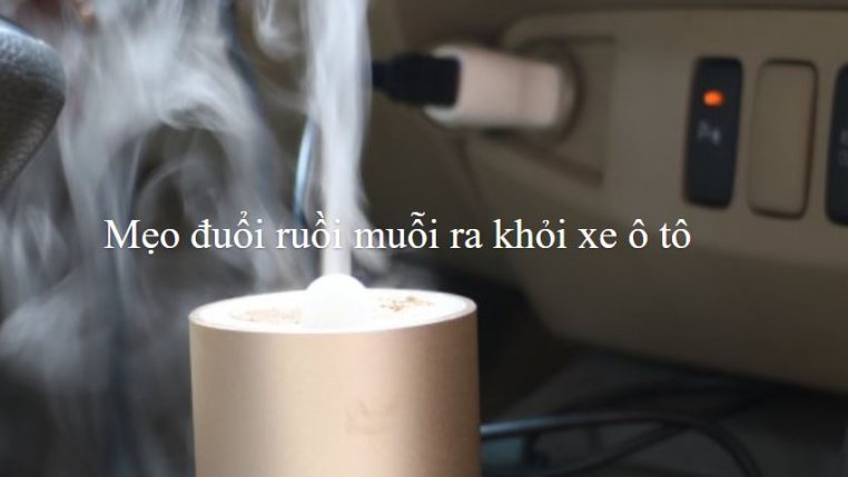 Cách đuổi côn trùng ra khỏi xe khi đang lái