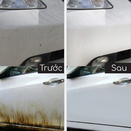 Mẹo tẩy sạch vết nhựa cây trên xe ô tô