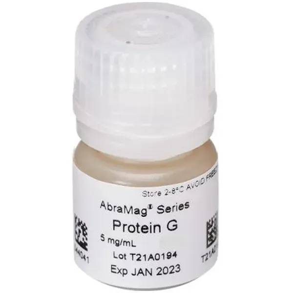 AbraMag® Protein G Magnetic Beads, 1 mL sample size, 5 mg/mL