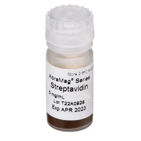 AbraMag® Streptavidin Magnetic Beads, 1 mL sample size, 5 mg/mL