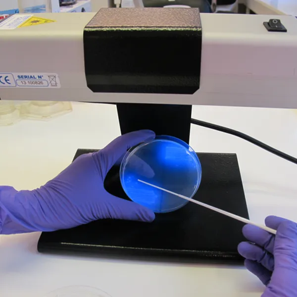 CHROMagar™ C. difficile