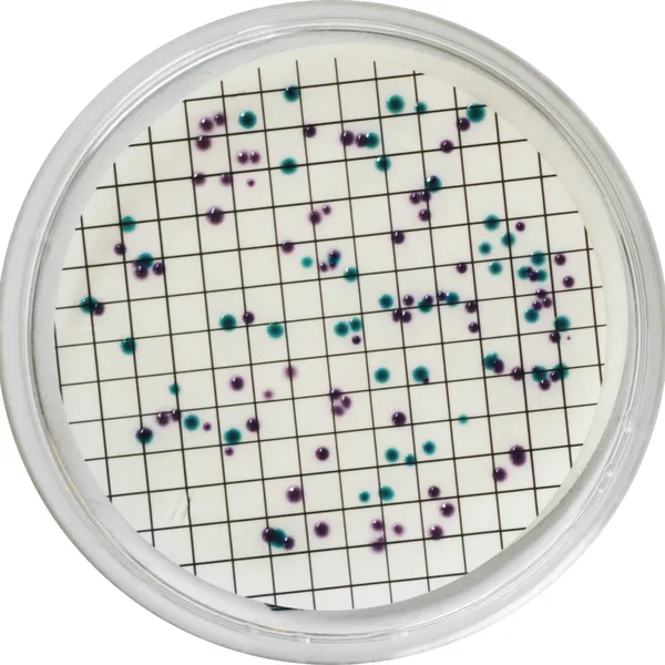 CHROMagar™ Liquid ECC