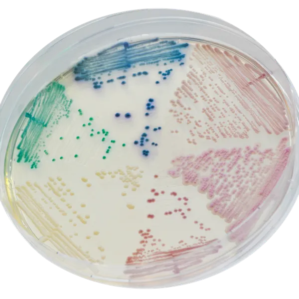 CHROMagar™ Candida