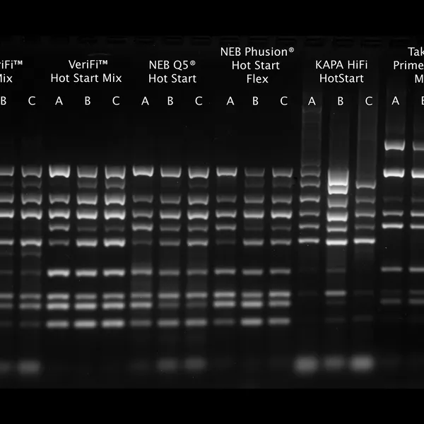 VeriFi® Hot Start Polymerase & Mixes