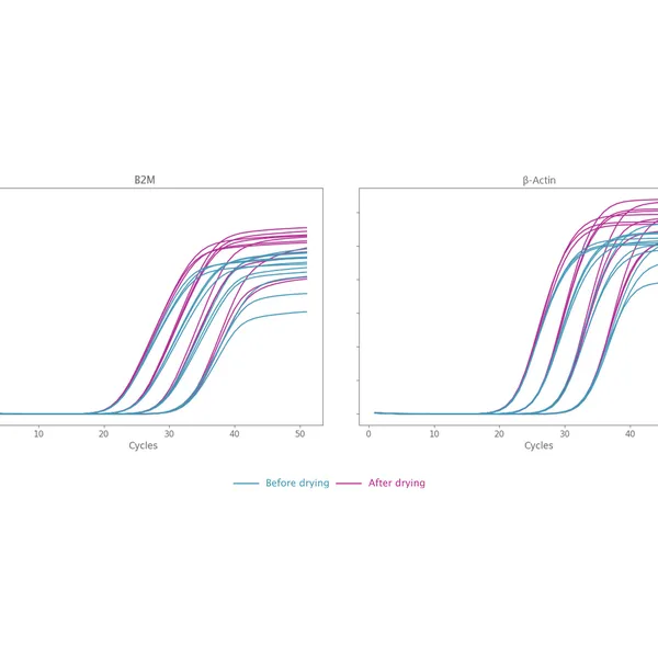 Air-Dryable Probe Mix and Probe 1-Step Mix