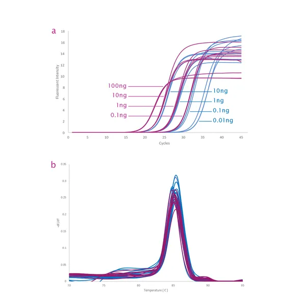 qPCRBIO SyGreen® 1-Step Kits