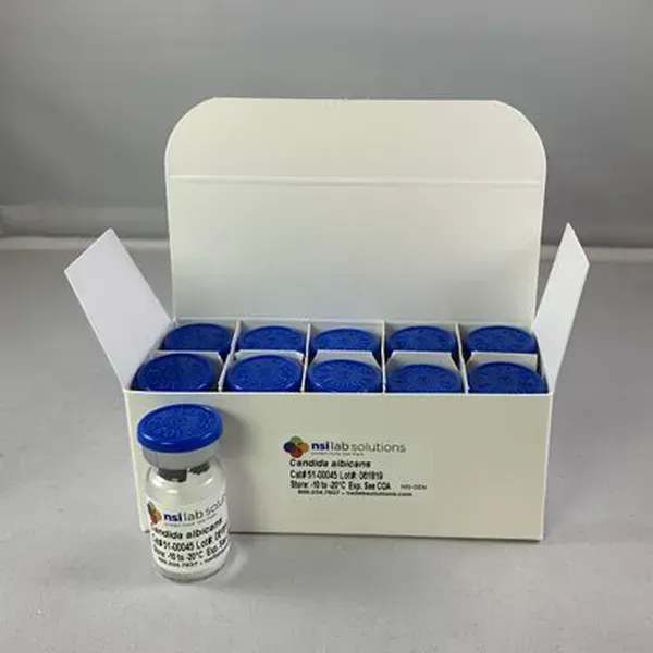 C. albicans NCPF 3179