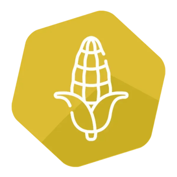 GMOQuant (LR) Event MON88017 Corn