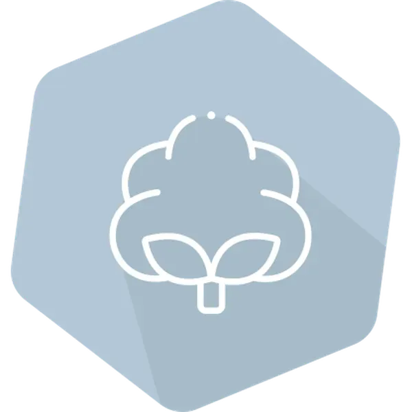 Cry1Ac/Cry2A/CP4EPSPS(RR) for Cotton