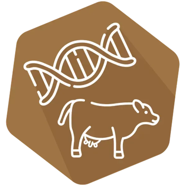 DNAnimal Screen Ruminant IPC