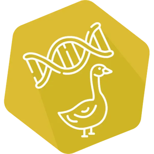 DNAnimal Ident Goose IPC