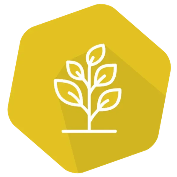 GMOIdent RT (UMM) Event LL601 Rice_0965