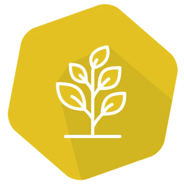 SpeciesIdent RT IPC (LR) Rapeseed