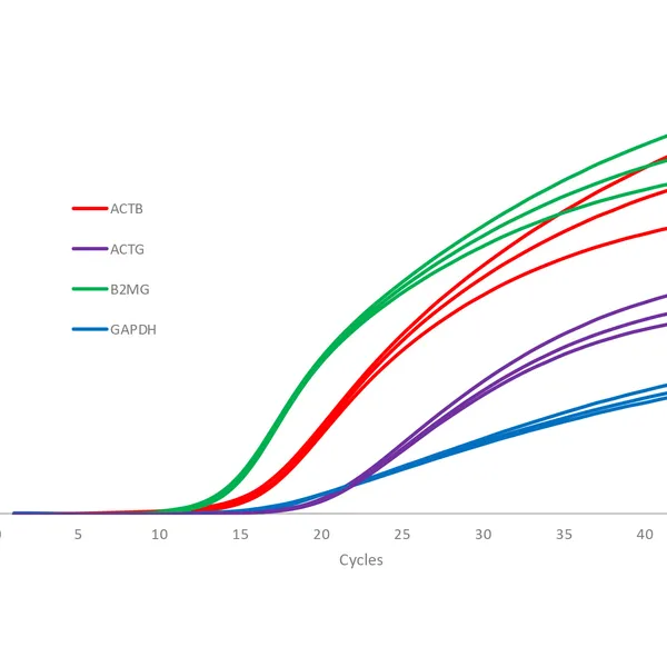 qPCRBIO Probe 1-Step Go