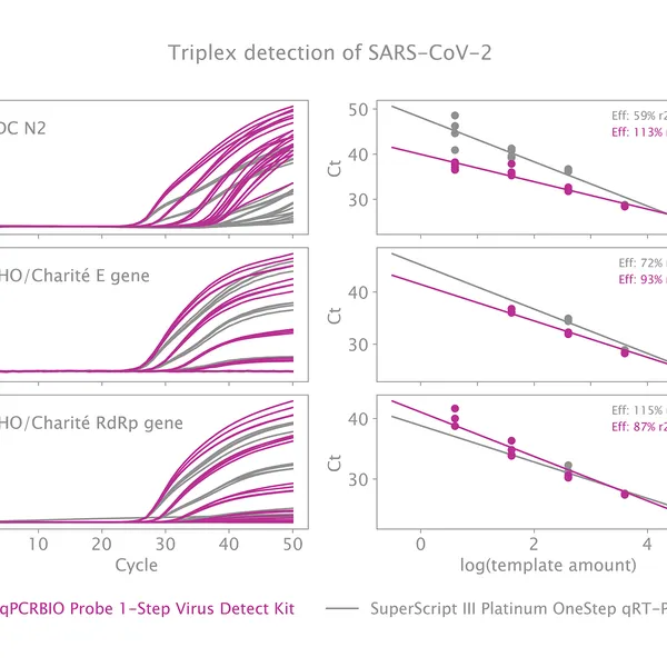 qPCRBIO Probe 1-Step Virus Detect