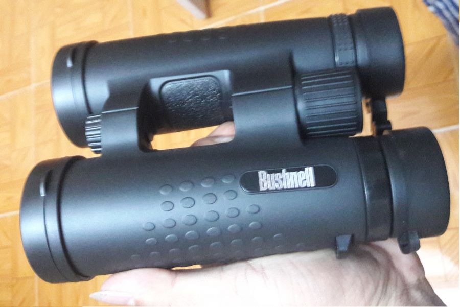 149335391610 149335391610