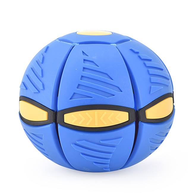 13620966_223979131334027_2745592258291234000_n