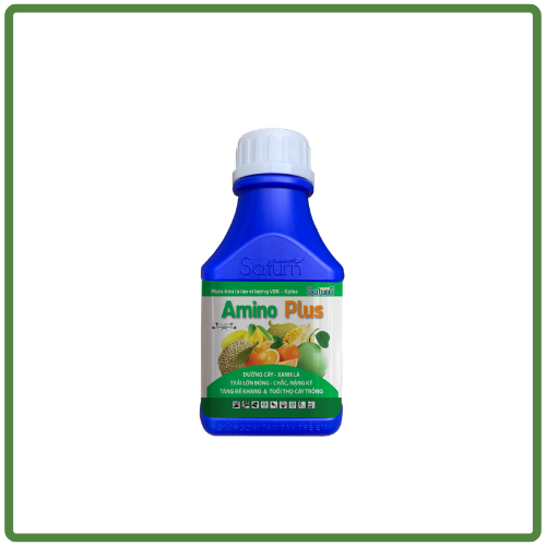 AMINO PLUS