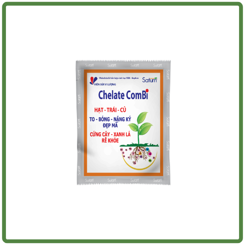 Viên sủi Chelate Combi