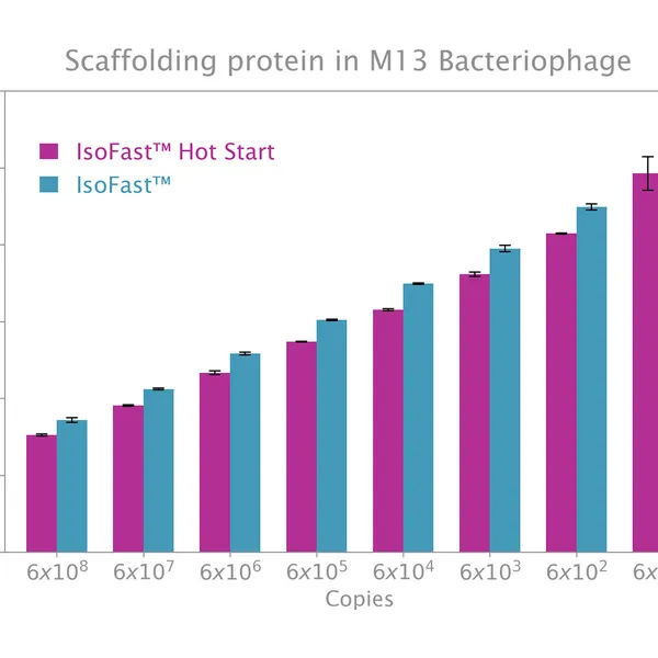 IsoFast® Hot Start Bst Polymerase & Mixes