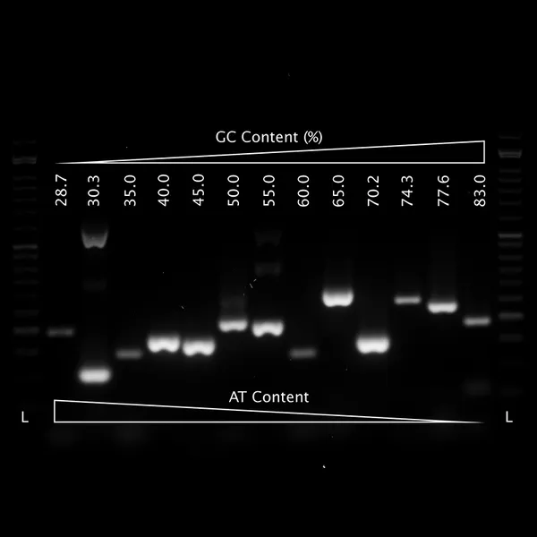 VeriFi® Hot Start Polymerase & Mixes