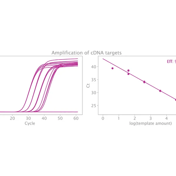 Clara® Probe 1-Step Purple Mix