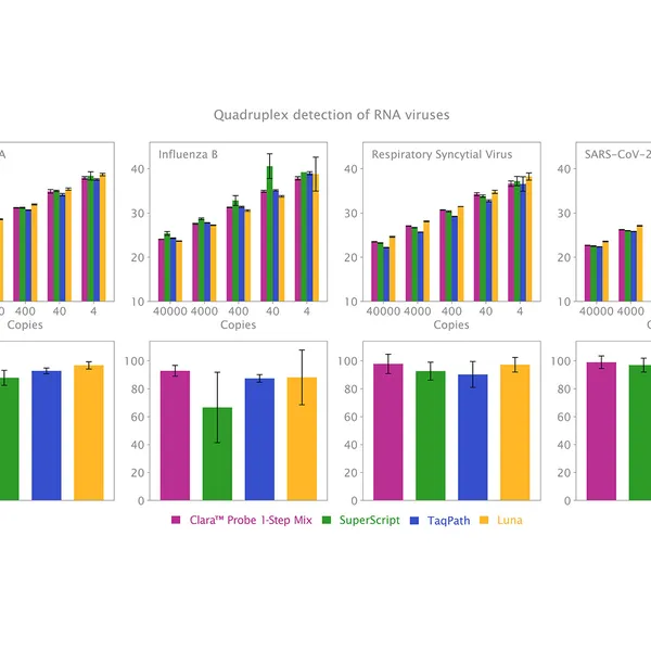 Clara® Probe 1-Step Purple Mix
