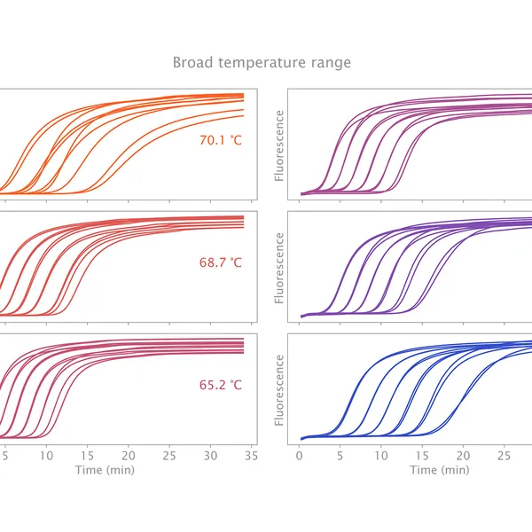 IsoFast® Bst Polymerase