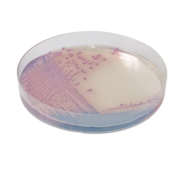 CHROMagar™ Salmonella