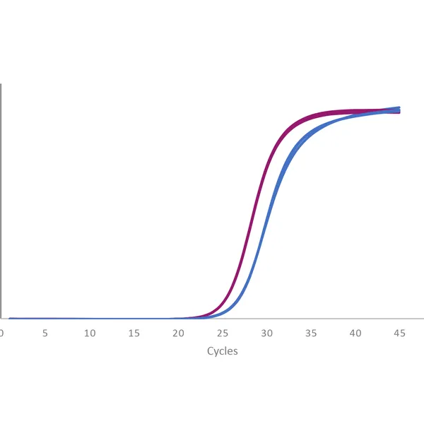UltraScript® Reverse Transcriptase & cDNA Synthesis Kits