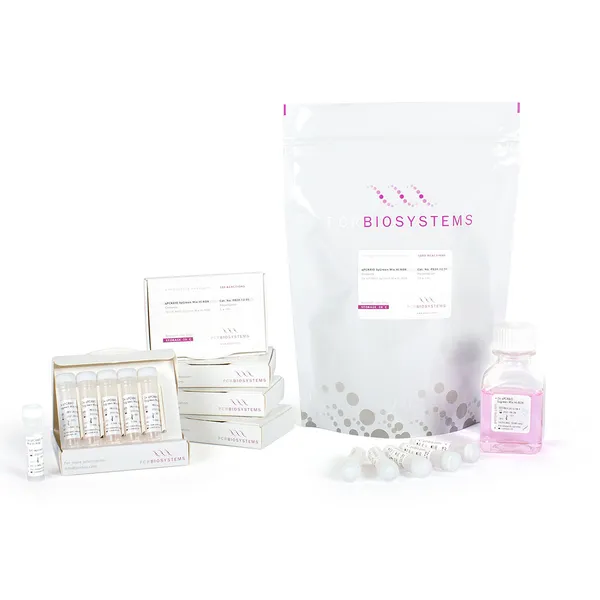 qPCRBIO SyGreen® Mix