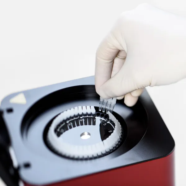 MIC - Máy real-time PCR | 48 giếng | 4 kênh màu