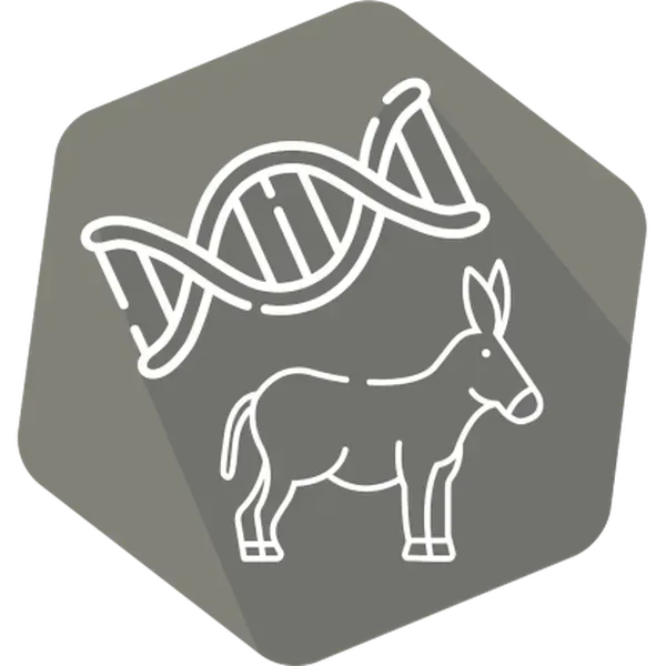DNAnimal Ident Donkey (LR)