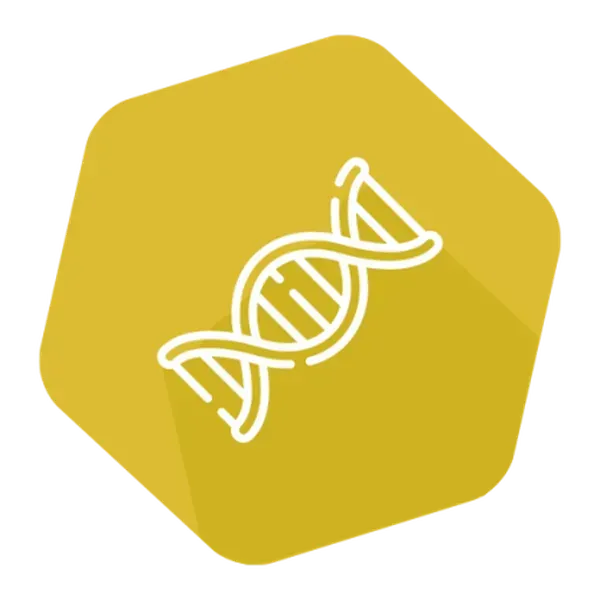 DNAnimal Mplex Horse&Donkey/Cattle/Chicken