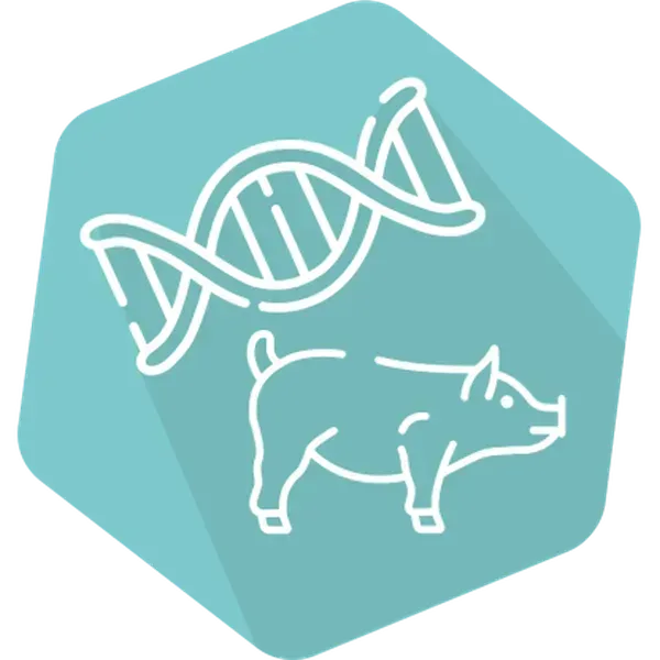 DNAnimal Ident Pork IPC