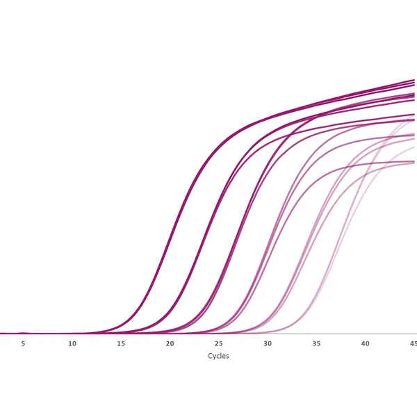 qPCRBIO Probe 1-Step Go