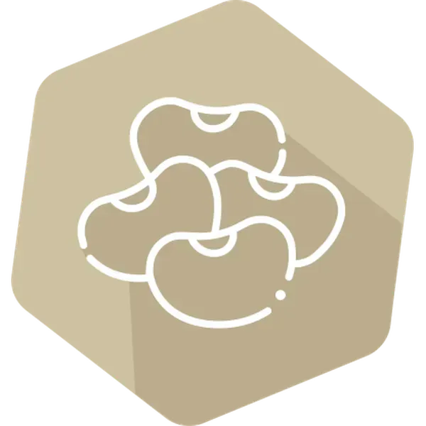 GMOIdent RT IPC (NR) MON87708/MON87701/MON87705 Soy