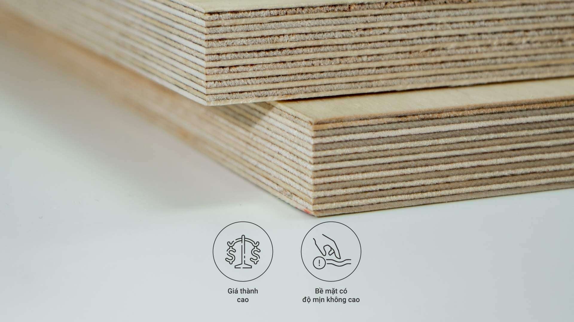 Giá ván Plywood An Cường bao nhiêu? Cập nhật bảng giá mới nhất Giá ván Plywood An Cường bao nhiêu? Cập nhật bảng giá mới nhất