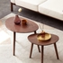 2 Bàn Sofa Nhỏ Gọn Gỗ Sồi Tự Nhiên Hình Oval Hiện Đại