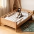 Giường Cho Bé Gỗ Sồi Tự Nhiên Có Lan Can An Toàn Hiện Đại