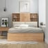 Giường MDF Phủ Melamine an Cường Đầu Có Kệ Sách Tối Ưu
